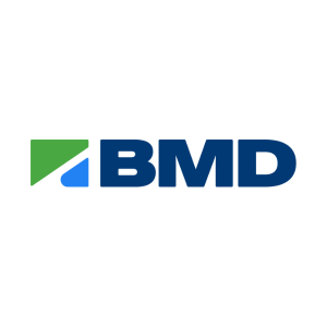 BMD Group Logo